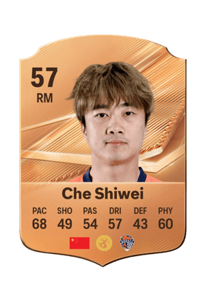 Che Shiwei - 57 - Rare