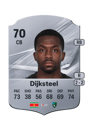 Dijksteel - 70 - Rare