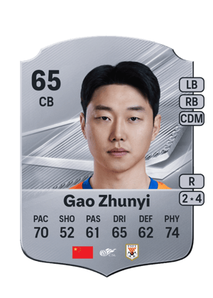 Gao Zhunyi - 65 - Rare