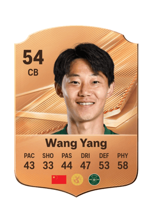 Wang Yang - 54 - Rare