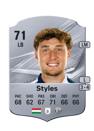 Styles - 71 - Rare