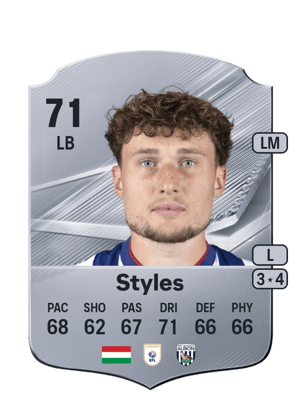 Styles - 71 - Rare