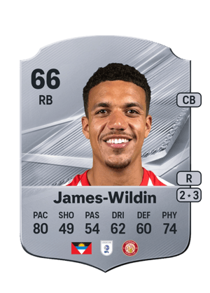 James-Wildin - 66 - Rare