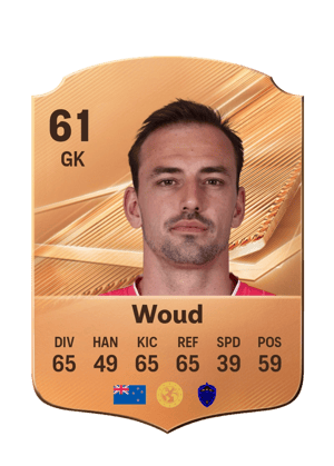 Woud - 61 - Rare