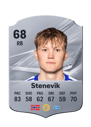 Stenevik - 68 - Rare