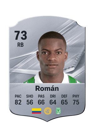 Román - 73 - Rare