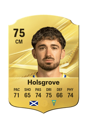 Holsgrove - 75 - Rare