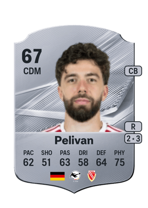 Pelivan - 67 - Rare