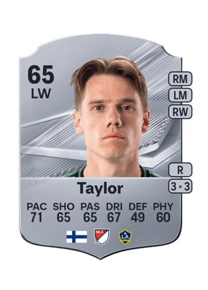 Taylor - 65 - Rare