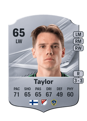 Taylor - 65 - Rare