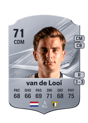 van de Looi - 71 - Rare