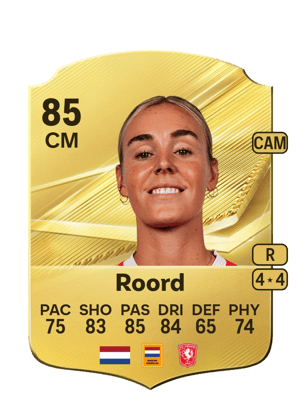 Roord - 85 - Rare