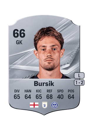 Bursik - 66 - Rare
