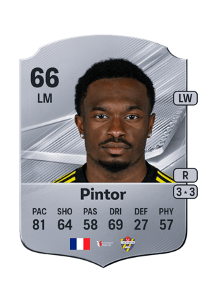 Pintor - 66 - Rare