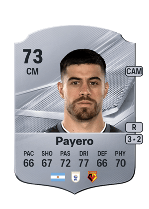 Payero - 73 - Rare