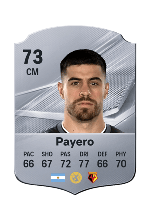 Payero - 73 - Rare