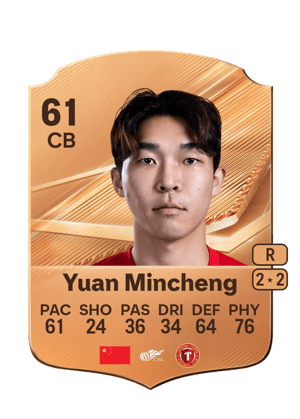 Yuan Mincheng - 61 - Rare