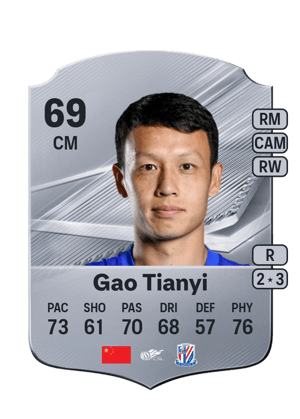 Gao Tianyi - 69 - Rare
