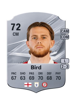 Bird - 72 - Rare