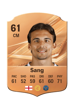 Sang - 61 - Rare