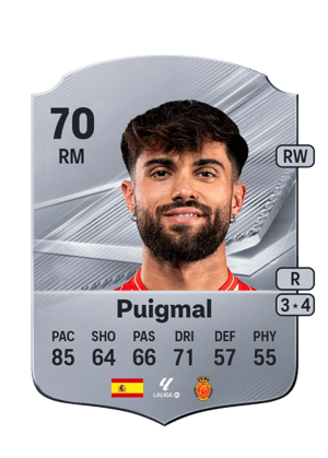 Puigmal - 70 - Rare