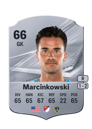 Marcinkowski - 66 - Rare