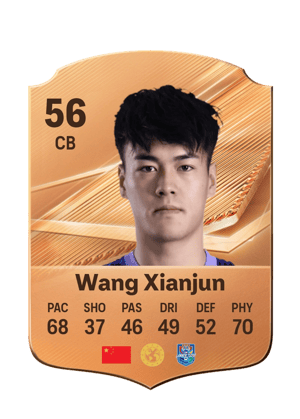 Wang Xianjun - 56 - Rare