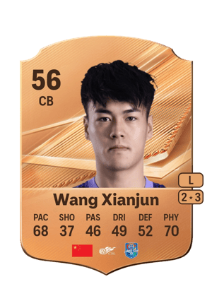 Wang Xianjun - 56 - Rare
