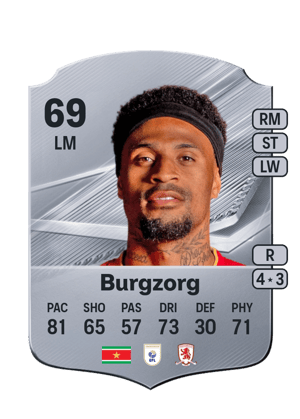 Burgzorg - 69 - Rare