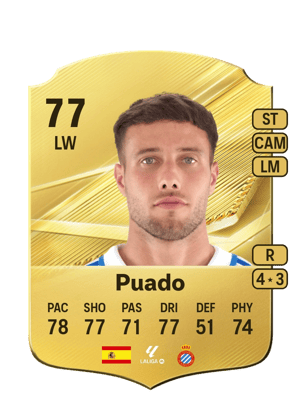 Puado - 77 - Rare