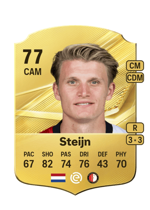 Steijn - 77 - Rare
