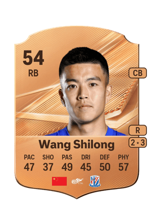 Wang Shilong - 54 - Rare