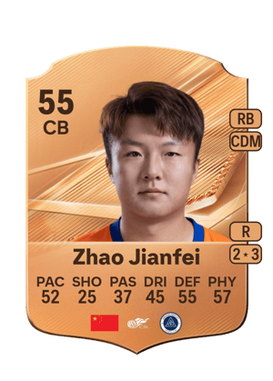 Zhao Jianfei - 55 - Rare