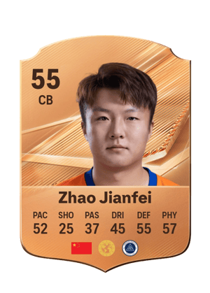 Zhao Jianfei - 55 - Rare