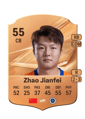 Zhao Jianfei - 55 - Rare