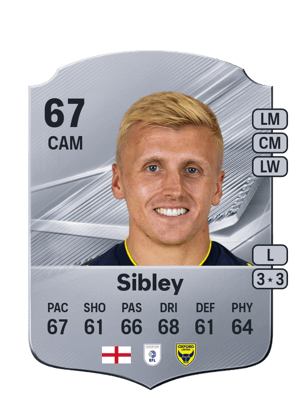 Sibley - 67 - Rare