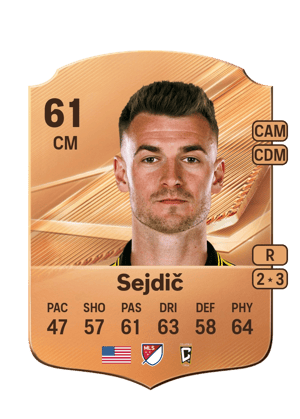 Sejdič - 61 - Rare