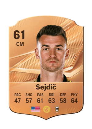 Sejdič - 61 - Rare