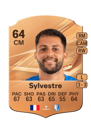 Sylvestre - 64 - Rare