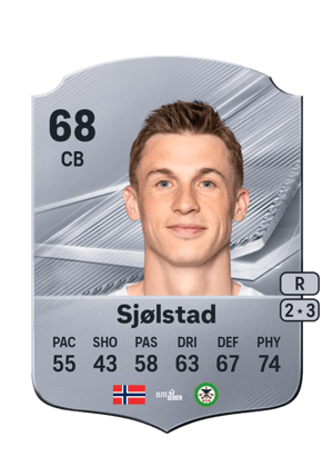 Sjølstad - 68 - Rare