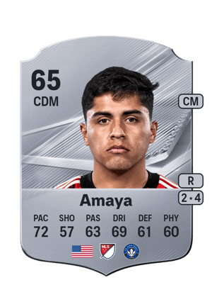 Amaya - 65 - Rare