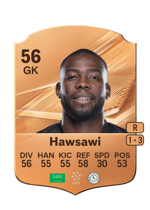 Hawsawi - 56 - Rare
