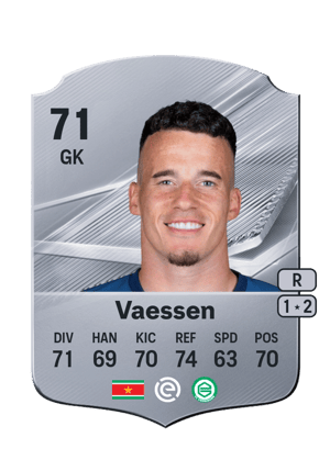 Vaessen - 71 - Rare