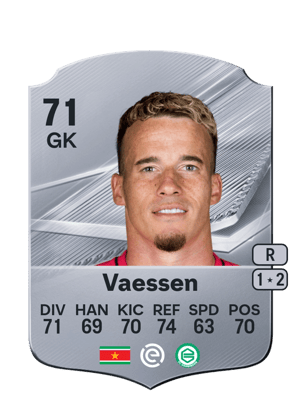 Vaessen - 71 - Rare