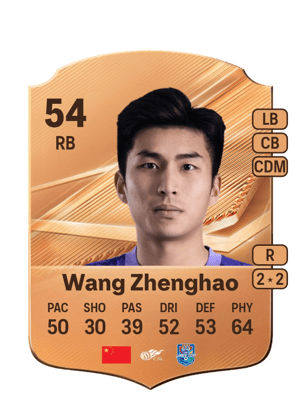 Wang Zhenghao - 54 - Rare