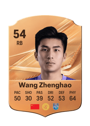 Wang Zhenghao - 54 - Rare
