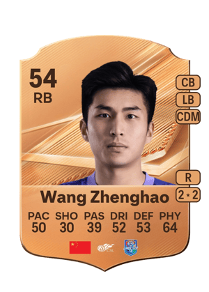 Wang Zhenghao - 54 - Rare