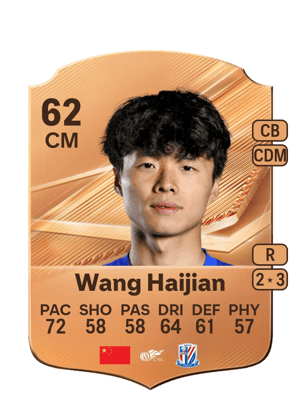 Wang Haijian - 62 - Rare