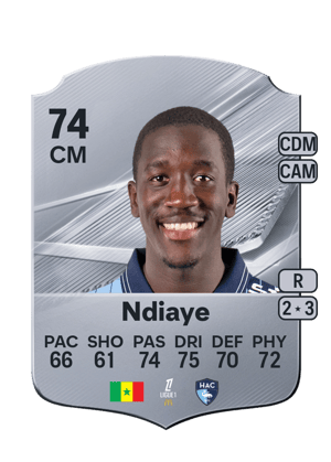 Ndiaye - 74 - Rare