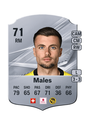 Males - 71 - Rare